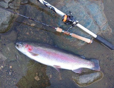 70㎝は釣れたけど 天竜川ルアーフライ専用…